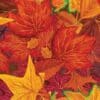 Autumn Leaf Paper Napkins