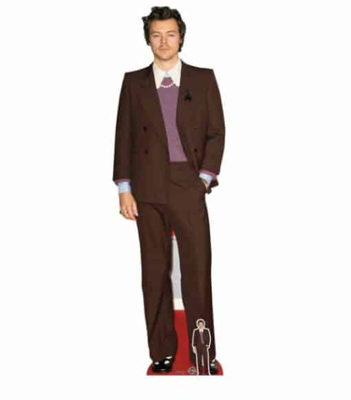Harry Styles Cardboard Cutout