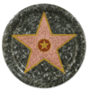Hollywood Star Walk of fame paper plates