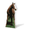 Horse Cardboard Cutout