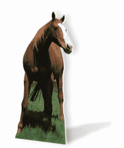 Horse Cardboard Cutout