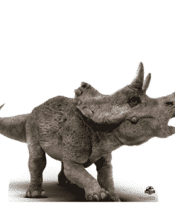 Official Jurassic World Baby Triceratops Dinosaur Cardboard Cutout