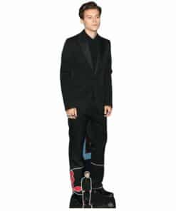 Harry Styles Suited Cardboard Cutout