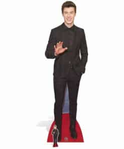 Shawn Mendes Cardboard Cutout