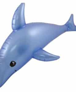 Inflatable Dolphin