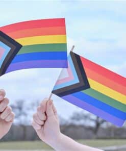Progress Pride Waving Flags