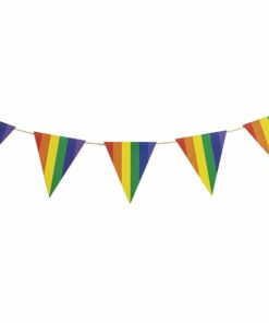 Alternative view of Rainbow Triangle Bunting - 5m