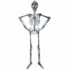 Flat Hanging Skeleton