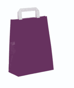 Purple Paper Gift Bags