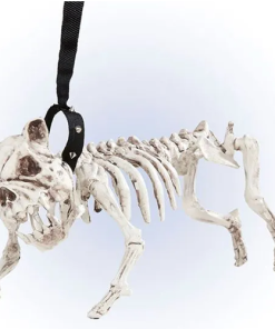 Halloween Skeleton Dog with Lead