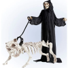 Halloween Skeleton Dog with Lead
