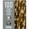 100 Warm White Outdoor Lights on a Copper Wire