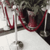 VIP Queue Barrier Set, Polished Stainless Steel Queue Posts - Red Rope