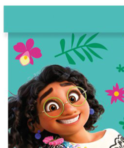 Encanto Paper Party Bags