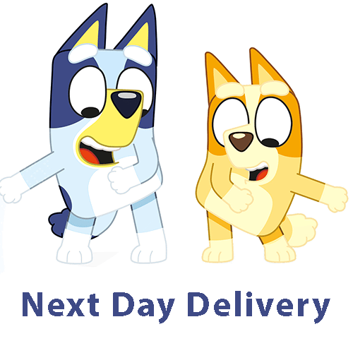 Bluey Party Next Day Delivery Tomorrow
