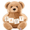 Brown Baby Teddy Bear