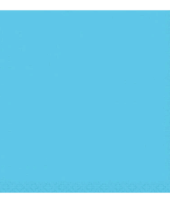 New Duck Egg Teal Napkins