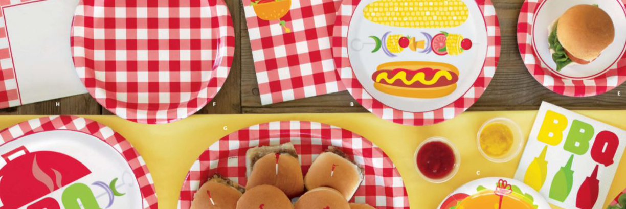 Gingham Picnic BBQ Disposable Plates Cups Napkins Next Day Delivery