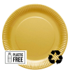 Gold Eco-Friendly Paper Plates