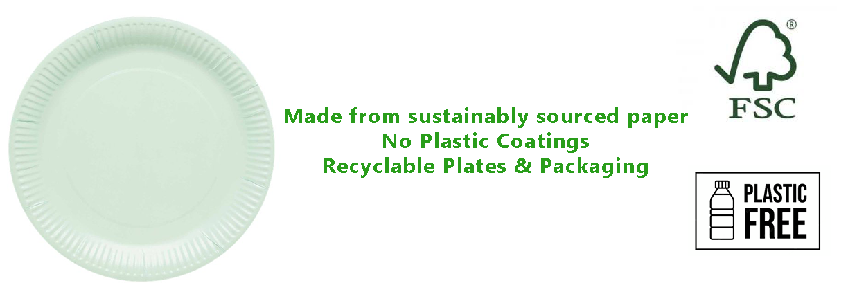 Mint Eco-Friendly Paper Plates 