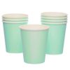 Mint Eco-Friendly Paper Cups
