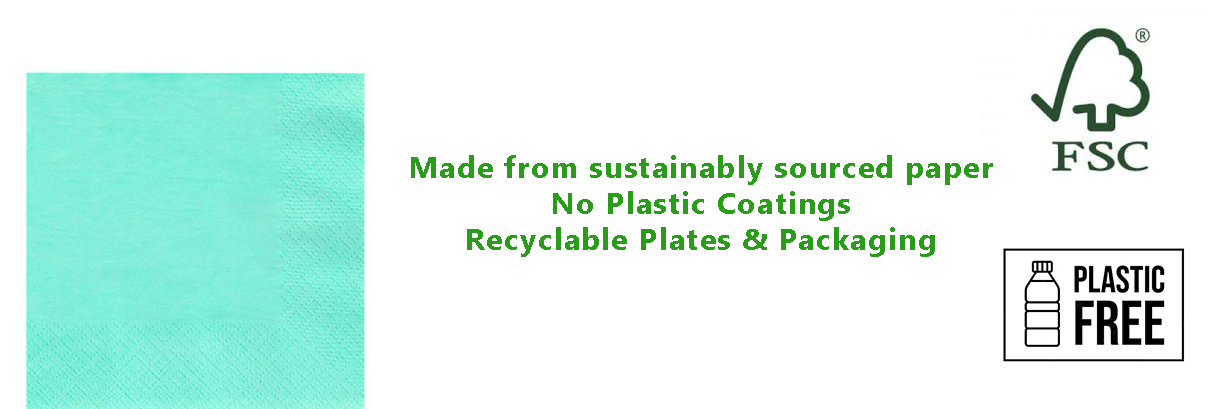 Mint Green Eco-Friendly Paper Napkins