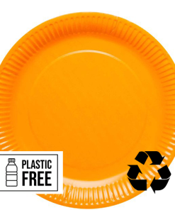 Orange Eco-Friendly Paper Plates