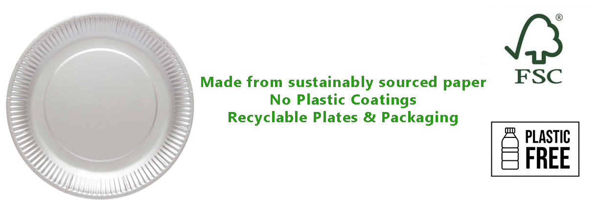 Silver Eco-Friendly Paper Plates