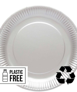 Silver Eco-Friendly Paper Plates