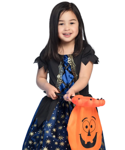 Halloween Pumpkin Trick or Treat Bag
