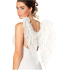 White Angel Wings