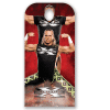 D-Generation X WWE Stand In Cardboard Cutout