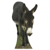 Donkey Cardboard Cutout
