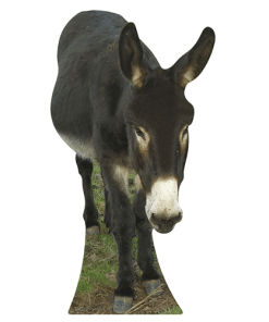 Donkey Cardboard Cutout