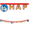 Sonic The Hedgehog Happy Birthday Card Banner