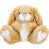 Honey Plush Bunny
