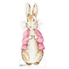 Rabbit Pink Jacket Cardboard Prop